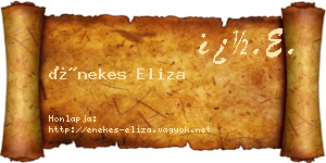 Énekes Eliza névjegykártya